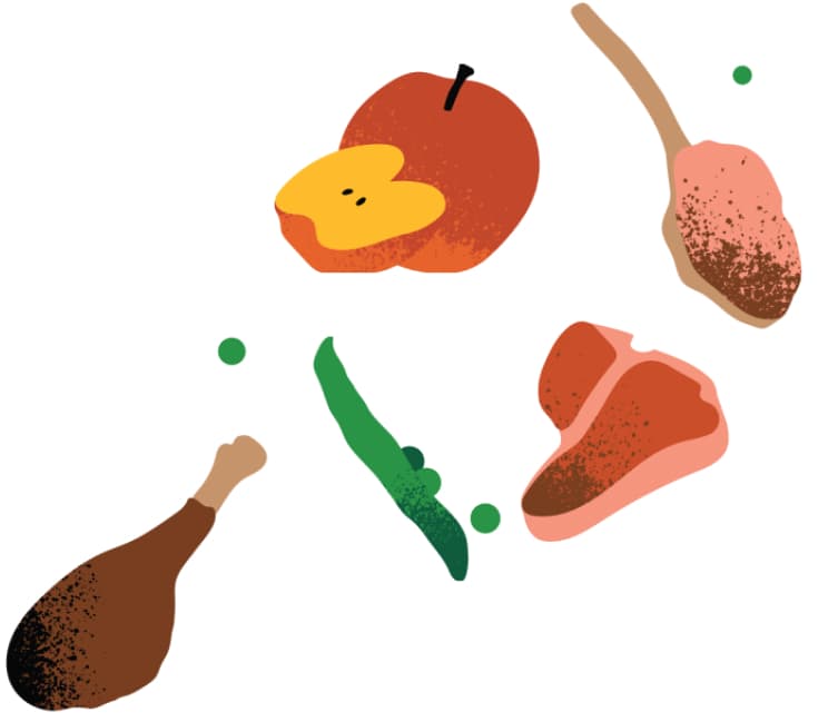 Ingredients Illustration