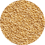 Barley-ingredient