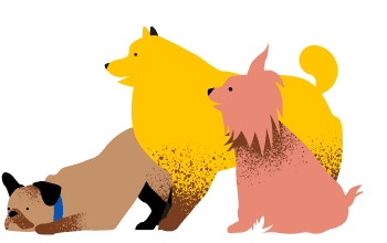 three dogs illustration