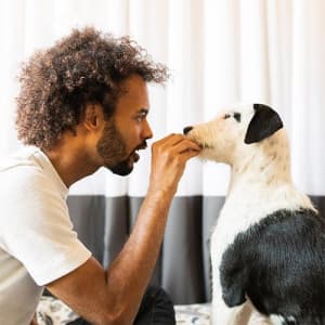 Person hand feeding dog